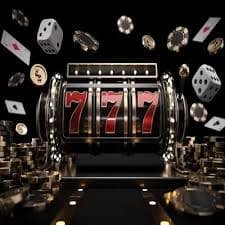 88 bed Sports Match Center Live Cricket & Football Betting Interface